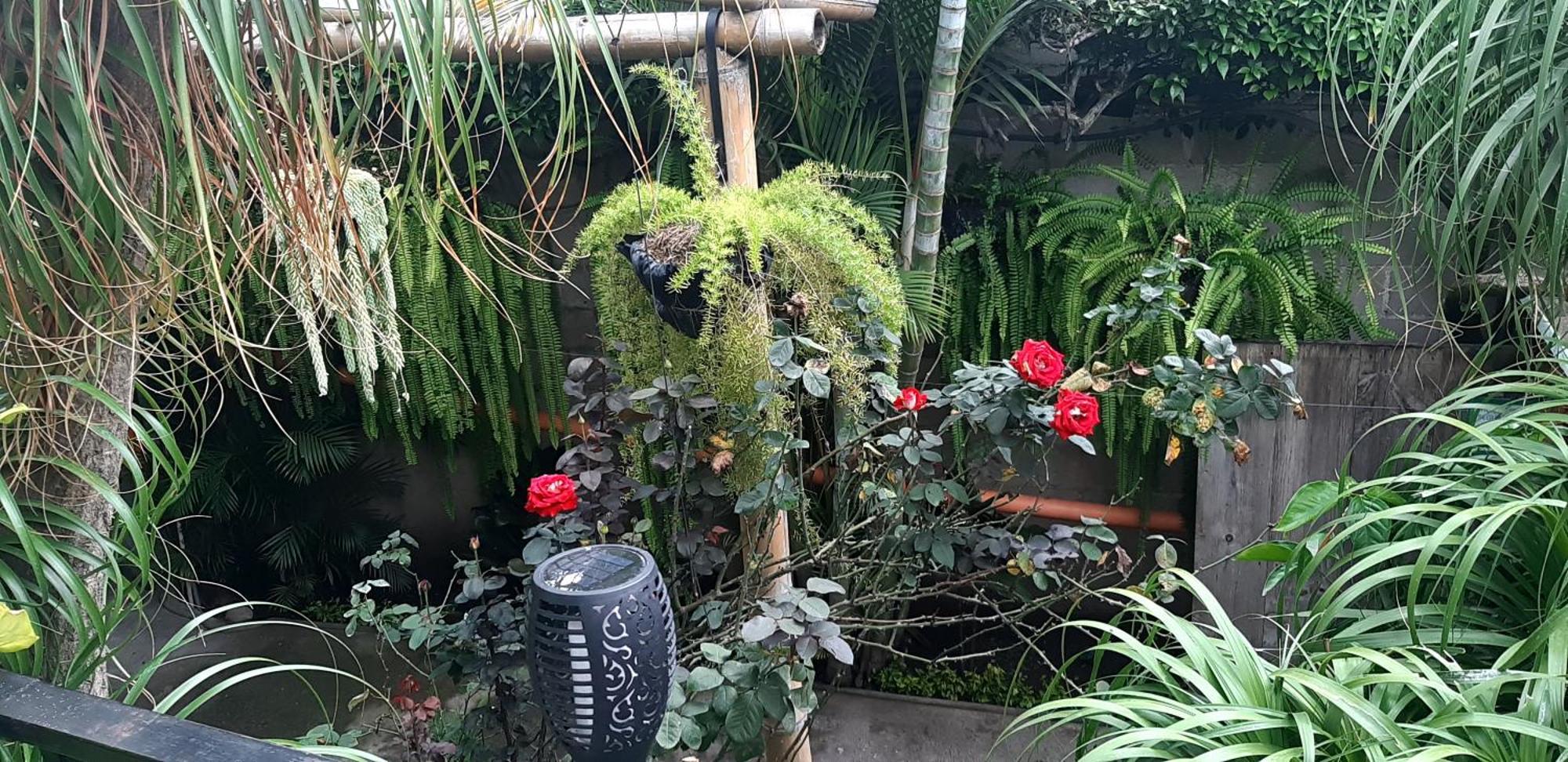Hospedaje Eli 帕纳哈切尔 外观 照片