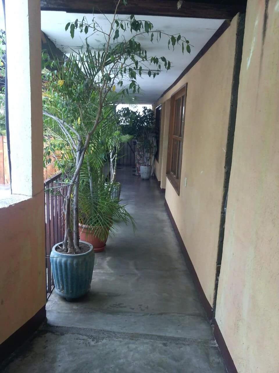Hospedaje Eli 帕纳哈切尔 外观 照片