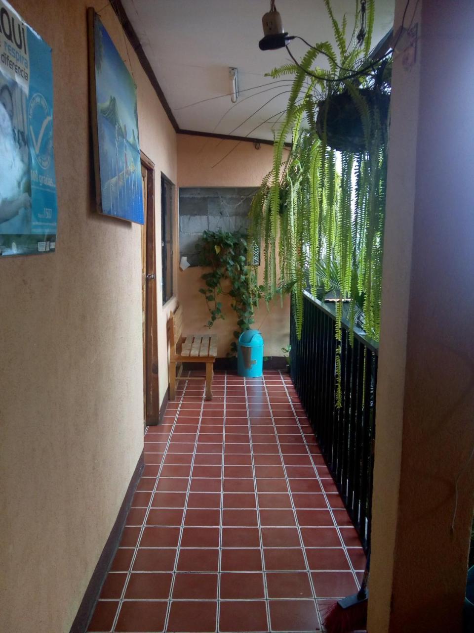 Hospedaje Eli 帕纳哈切尔 外观 照片
